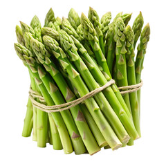 Fresh Green Asparagus Spears Isolated on White Background