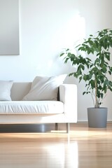 Minimalist living room with white sofa, light wooden floor, and indoor plant in pot