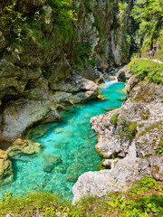 Fototapeta premium Picturesque Tolmin Gorge. Scenic rocky canyon and emerald water of Tolminka River. Soča River Valley, Triglav National Park, Slovenia