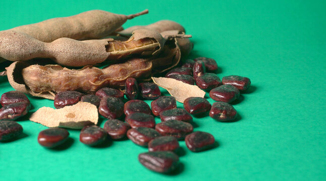 Tamarind fruit with seed isolated on green background with copy space for your text. Top view. Flat lay