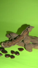 Tamarind fruit with seed isolated on green background with copy space for your text. Top view. Flat lay