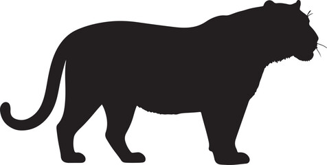 Siberian tiger in silhouette.