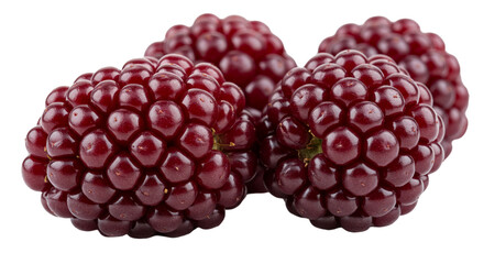 Sweet, ripe blackberries and raspberries, isolated on white, capture the essence of healthy summer fruit