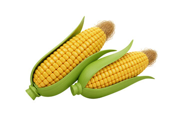 Isolated Pair of Fresh Corn on the Cob