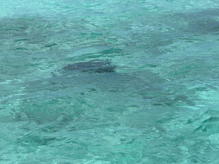 blue water background