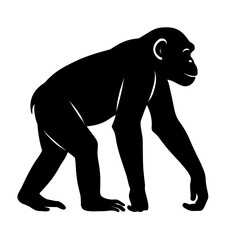 Fototapeta premium Silhouette of a Bonobo in Profile with Expressive Features