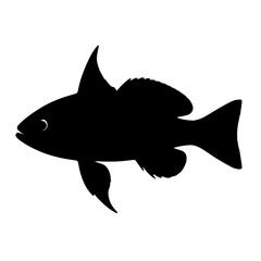 Silhouette of Bladefin Basslet with Distinctive Fins on White Background