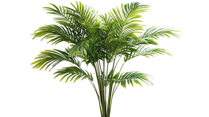 Pair of soccer cleats with studs visible, Transparent background, PNG file