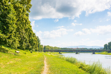 Obraz premium embankment with linden trees in blossom. travel destination. scenery by the river uzh on a sunny day. masaryk bridge in the distance