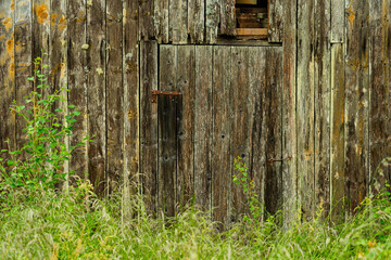 A rustic wooden door reveals the charm of a weathered farmhouse, surrounded by overgrown grass and...