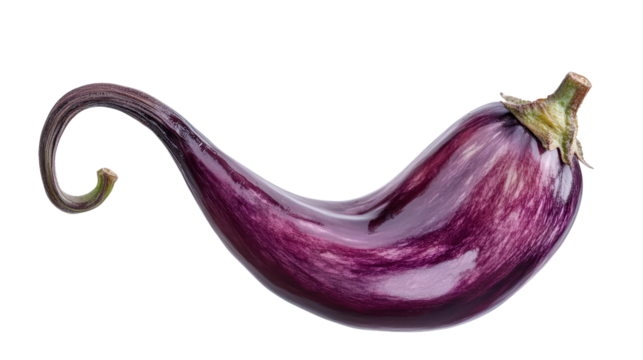 Playful jack russell terrier dog Transparent background, PNG file - Powered by Adobe