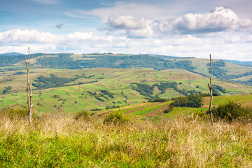 mountainous countryside landscape on early autumn forenoon. volovets district of transcarpathia, ukraine. sunny day with clouds on the sky. wooden poles