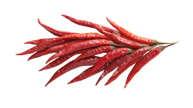 Red finger chili, thin and long with pointed tip and bright color, Transparent background, PNG file