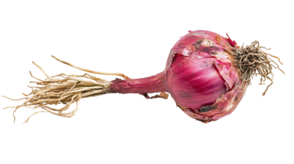 Red pomegranate cut open to reveal juicy arils, high-contrast texture, Transparent background, PNG file