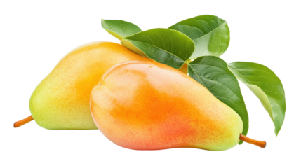 Ribbon cables and wiring kits, Transparent background, PNG file