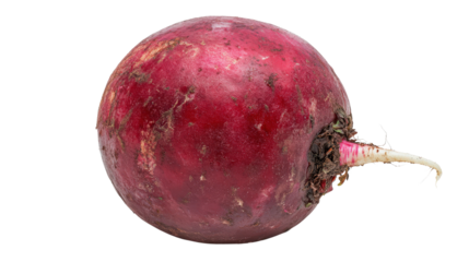 Round red radish with white tip and short leafy greens, Transparent background, PNG file