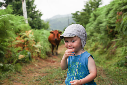 Confused surprised little boy met red cow on path in mountains of Georgia, Kvariati. Travel with children, kid's emotions concept. - Powered by Adobe
