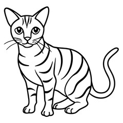 Sand Cat Line Art on White