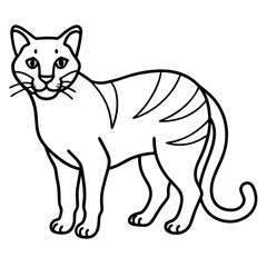 Sand Cat Line Art on White