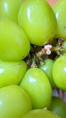 Close-up of fresh Shine Muscat green grapes with smooth skin and natural shine, symbolizing freshness and healthy eating