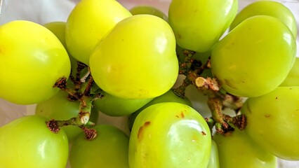 Close-up of fresh Shine Muscat green grapes with smooth skin and natural shine, symbolizing freshness and healthy eating