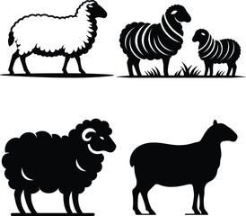 Stylized Sheep Illustrations Black and White Imagery Depicting Different Breeds and Lambs Including Curled Horns and Woolly Coats