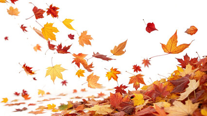 Bright red, orange, and yellow maple leaves are falling against a white background, creating a vibrant and dynamic autumn scene with a pile of colorful leaves at the bottom