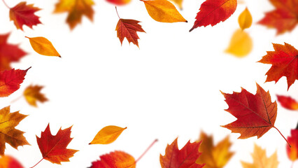 Fototapeta premium Colorful autumn leaves are gently falling against a clean white backdrop, creating a vibrant and inviting frame with a sense of motion and seasonal atmosphere