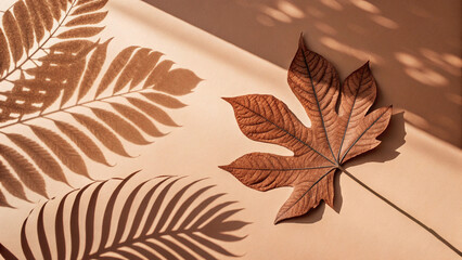 Warm sunlight illuminating a brown leaf against a beige backdrop, casting soft palm tree shadows and evoking a serene autumnal atmosphere filled with natural beauty