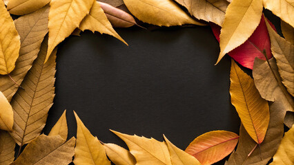Colorful autumn leaves arranged on a dark background creating a natural frame with copy space. Perfect for seasonal designs and thanksgiving themes. Capturing the warm and vibrant atmosphere of fall