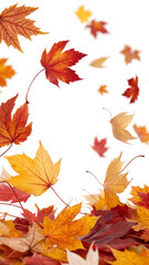 Colorful autumn leaves are gently falling against a clean white backdrop, creating a vibrant and inviting frame with a sense of motion and seasonal atmosphere