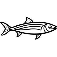 Sardine Line Art Illustration