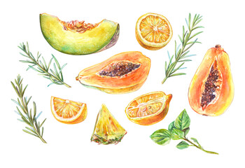 Watercolor set of tropical fruits and herbs: lemon slices, papaya, melon, pineapple, basil, and rosemary. Ideal for summer recipes, cocktails, food packaging, and organic branding.