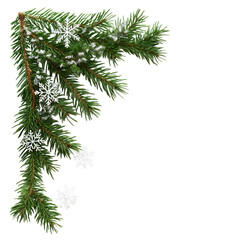 Green Spruce Branch with White Snowflakes Winter Holiday Decoration isolated on a transparent background