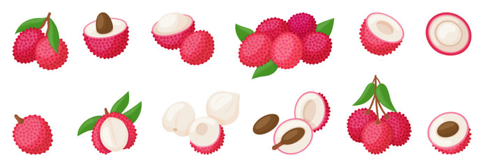 Lychee fruit. Cartoon lychee whole and half, with leaf. Exotic vitamin food for eating, smoothie, desserts. Isolated raw nutrition, neoteric vector set