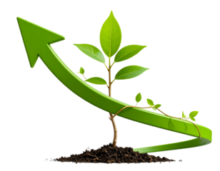 Green Plant Growing Along Rising Arrow Curve, Transparent PNG