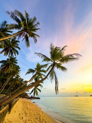 A low-angle, wide-shot perspective captures the breathtaking tropical sunset, showcasing...