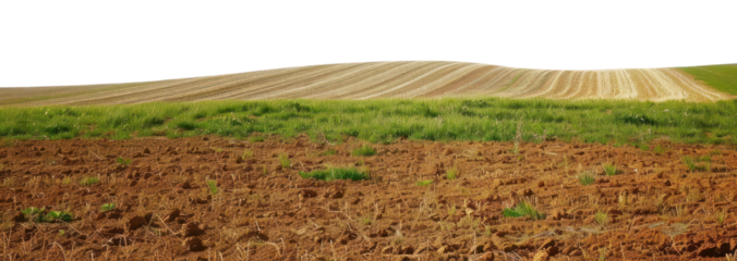 PNG Short field agriculture outdoors horizon.
