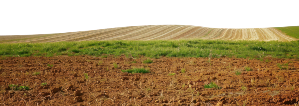 PNG Short field agriculture outdoors horizon.