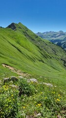Oberstdorf Allgäuer Hochalpen Lush green mountain landscape with vibrant wildflowers under a clear...