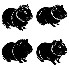 Four black guinea pigs in various poses on a white background showing different angles and perspectives