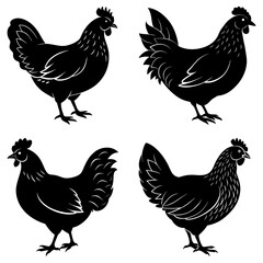 Four black silhouette chickens in various poses standing on a white background in a vector illustration