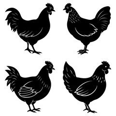 Four black silhouette chickens in different poses standing on a white background in a vector image