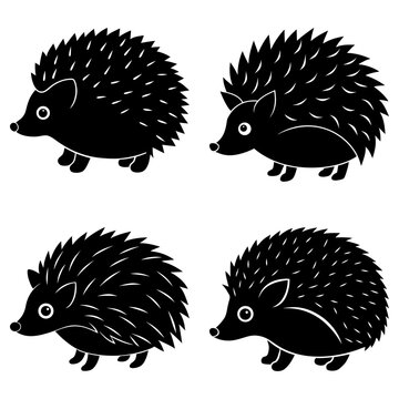 Four black hedgehog illustrations with varied quill styles on a white background layout format view