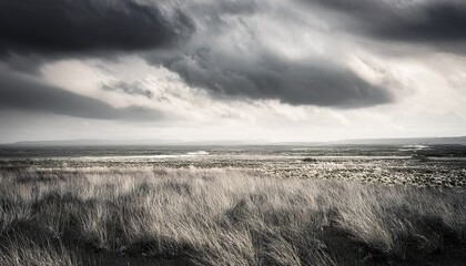 abstract prairie grassland field vintage illustration bleak cloudy muted gray landscape art for background wallpaper texture