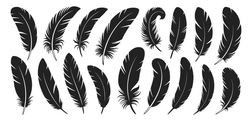 Black feather silhouettes with unique shapes and curves, vector illustration. Diverse bird feathers presented in clean, bold design for natural decoration.
