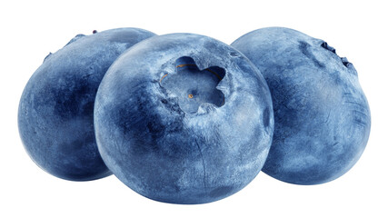 Obraz premium Blueberry isolated on white background, full depth of field