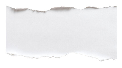 Torn piece of paper with raw edge isolated on white background