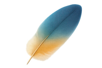 Single feather with blue and yellow gradient color isolated on transparent background, ideal for graphic design projects