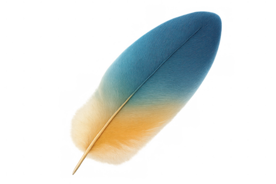 Single feather with blue and yellow gradient color isolated on transparent background, ideal for graphic design projects